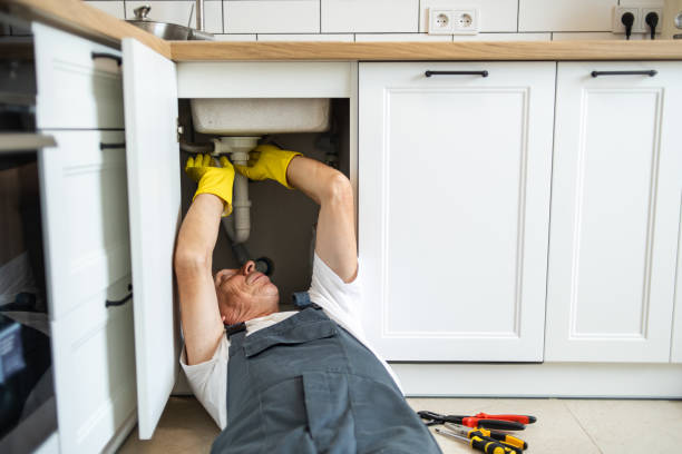Best Local Plumber Services  in Oak Park Heights, MN